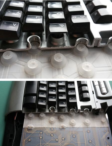 Section of a membrane keyboard